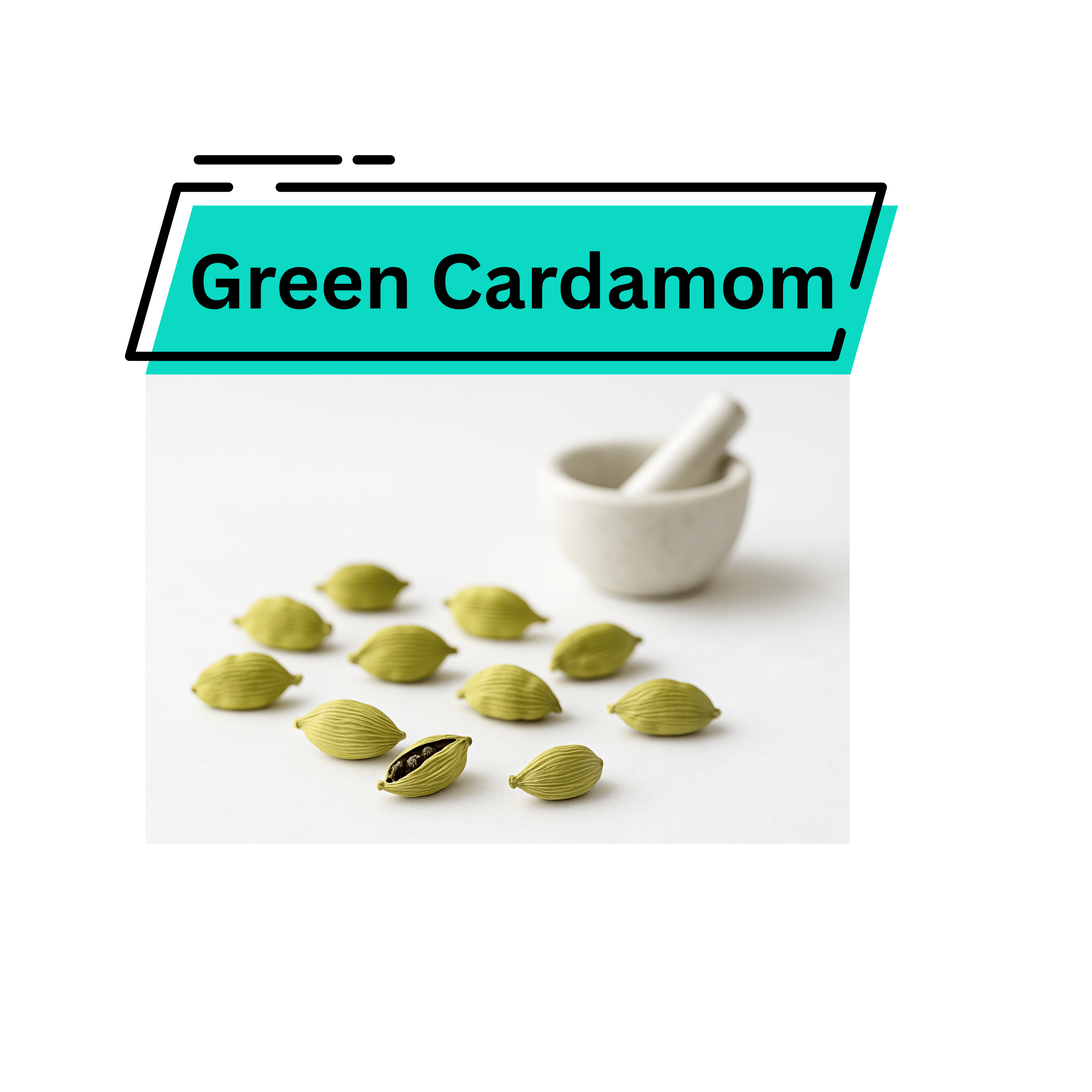 Green Cardamom